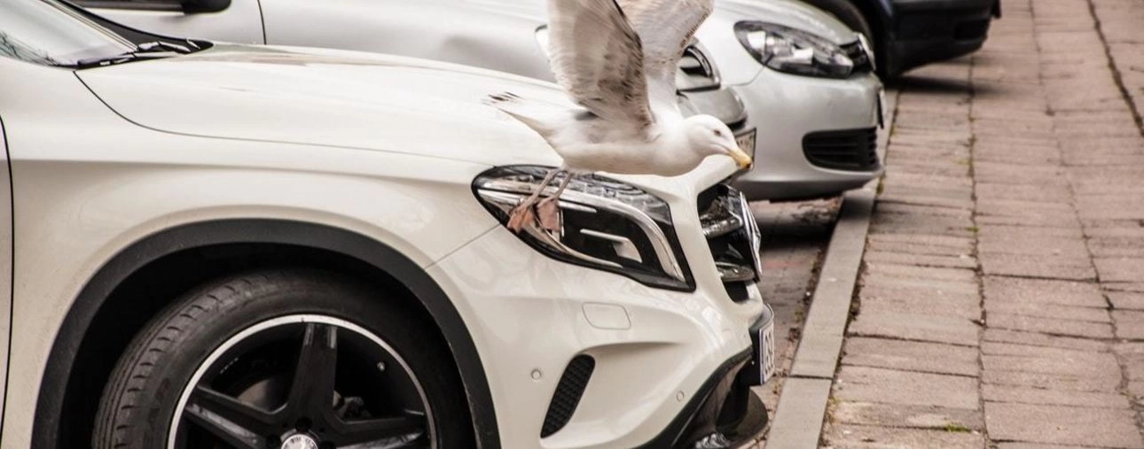 Parkeren in Blankenberge