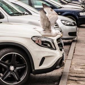 Parkeren in Blankenberge