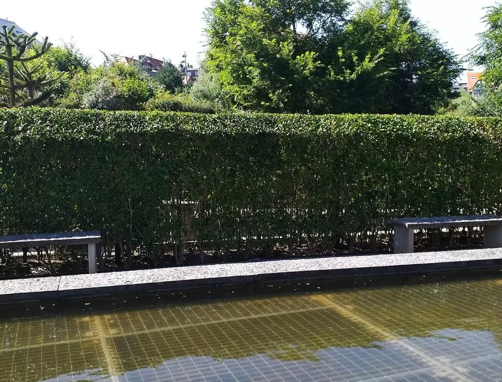 Afbeelding gerelateerd aan Ijzerpark