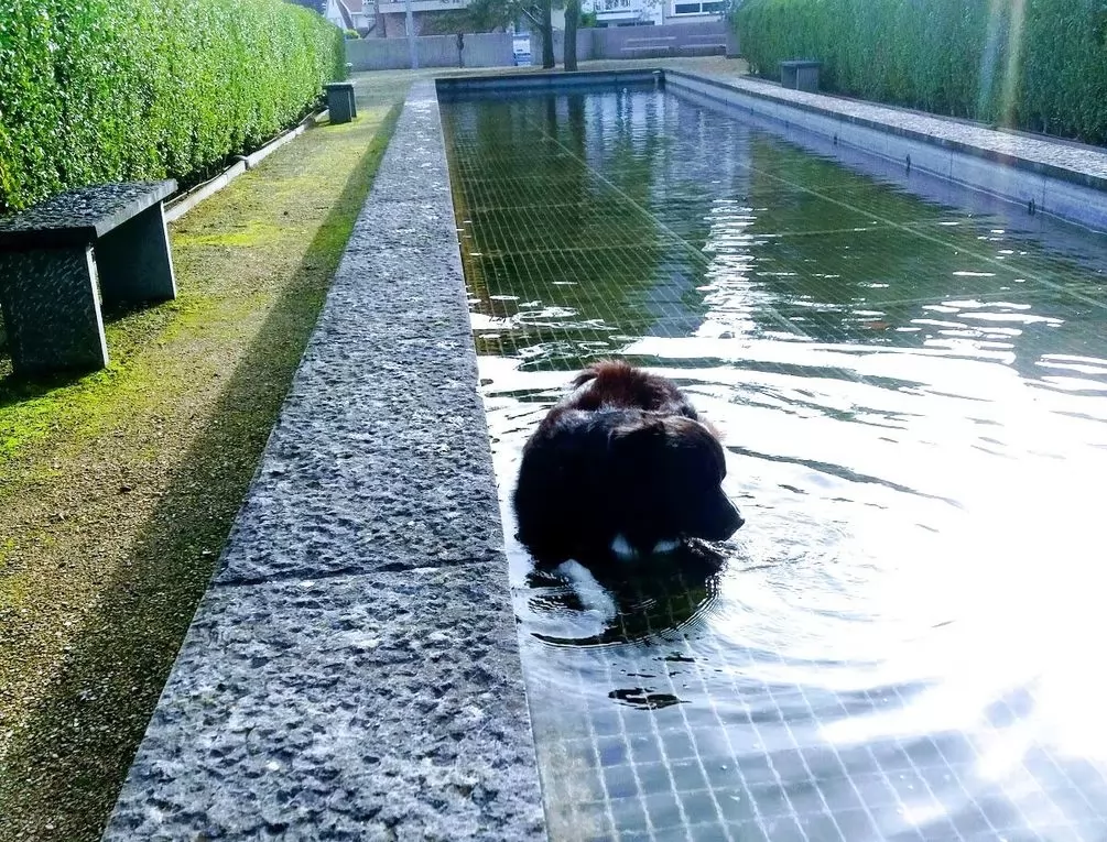 Afbeelding gerelateerd aan Ijzerpark
