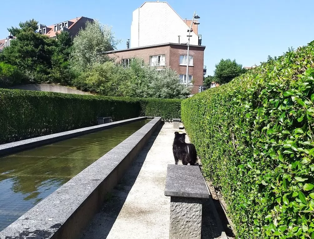 Afbeelding gerelateerd aan Ijzerpark