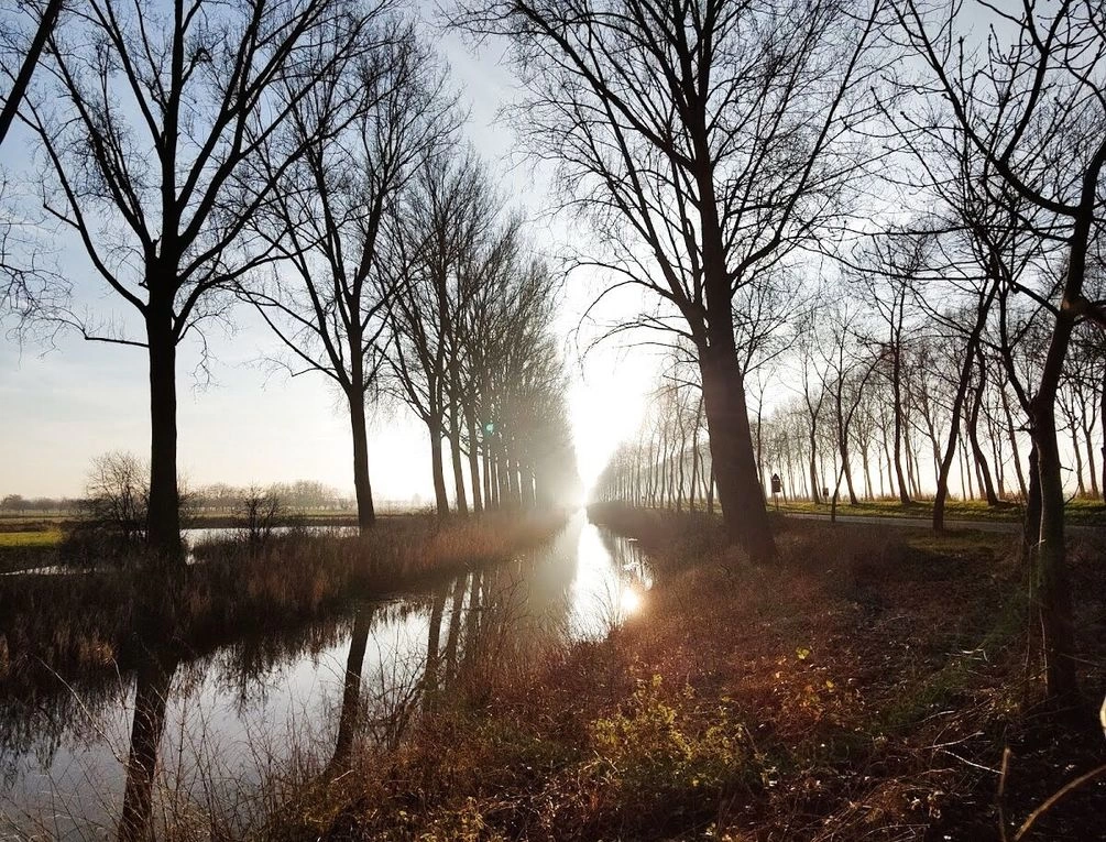 Afbeelding gerelateerd aan Parking Damme Zuid