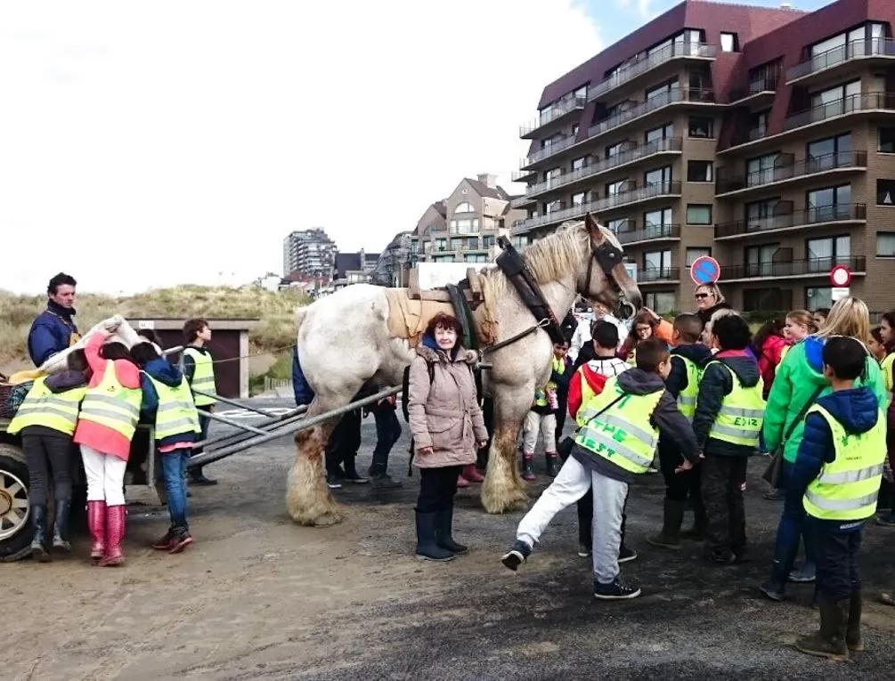 Afbeelding gerelateerd aan Parking Domein Westhoek