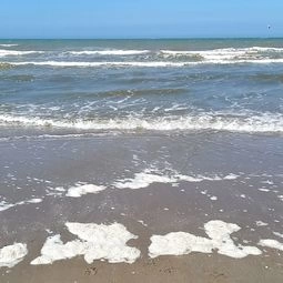  Parkeerplaats in De Panne
