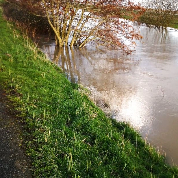 Veurne
